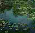 Waterlilies